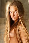 Prachtige tiener model Darina B is agile van Trots als een Ze houdingen naakt bloot De borstel slank menigte