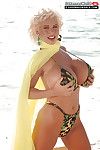 Famous blonde pornstar SaRenna Lee freeing mega boobs from bikini at beach