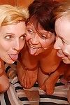 Three cockhungry mature sluts got served